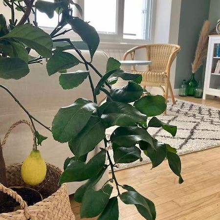 Le Citronnier Apartment Fouesnant Exterior foto