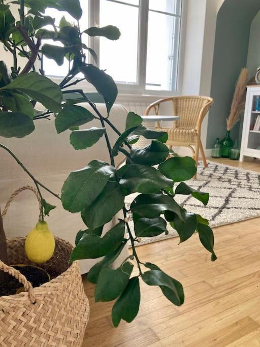 Le Citronnier Apartment Fouesnant Exterior foto